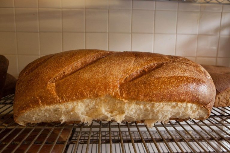 0112 1024x682 1024x682 1 768x512