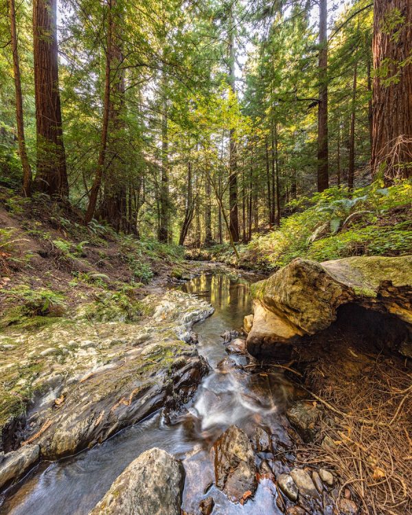 Visit Half Moon Bay