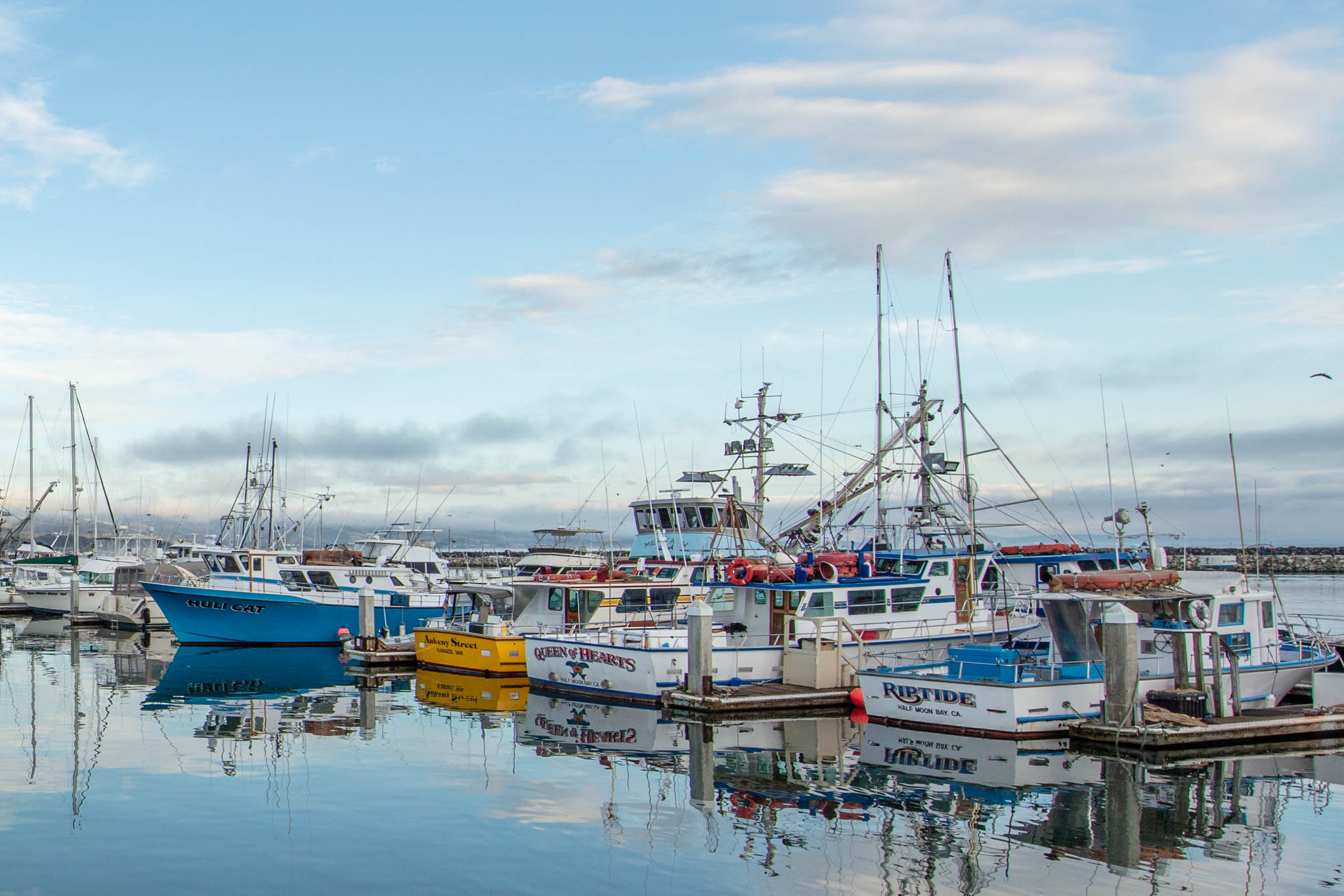 Charter boats in Pillar Point Harbor