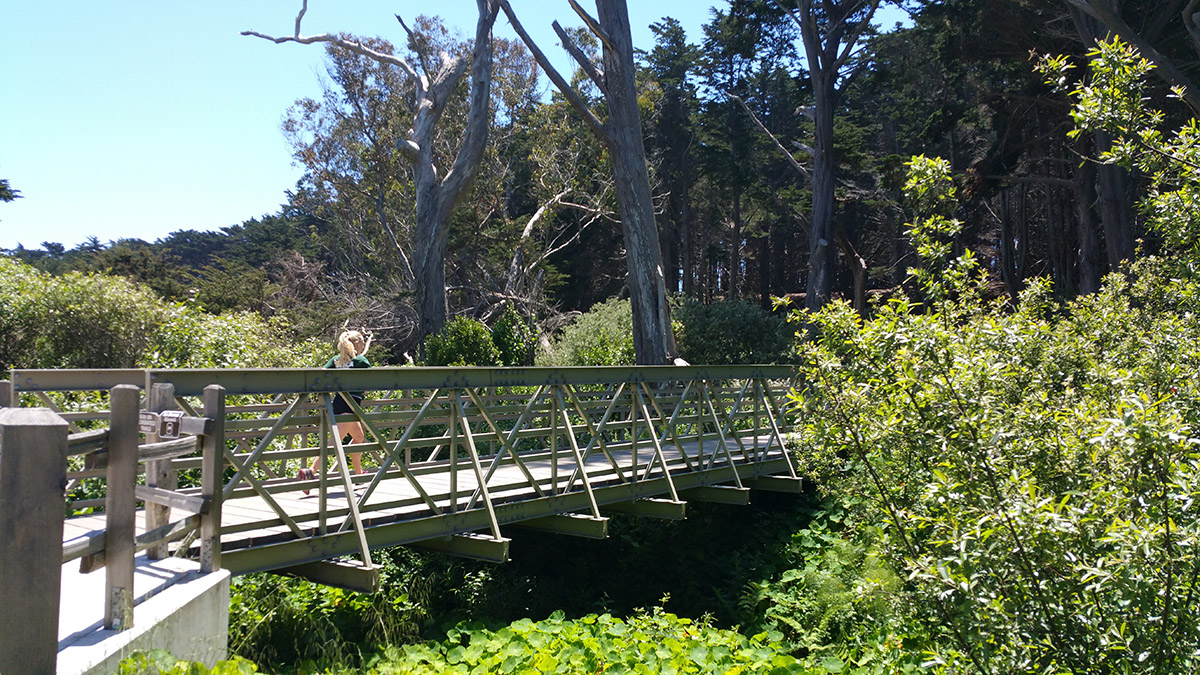 Marine Reserve Bridge