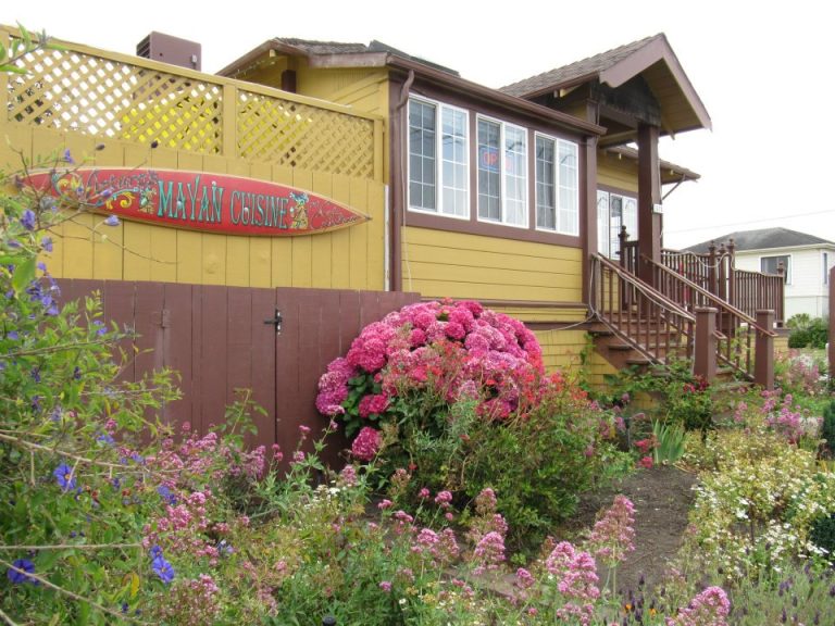 277744263 410458644219340 2087285105440362159 n 768x576