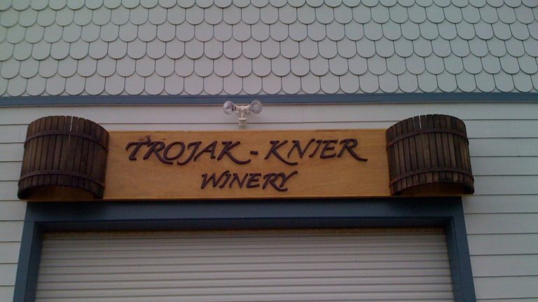 304982659 524808812785790 2687526623080871072 n 768x431