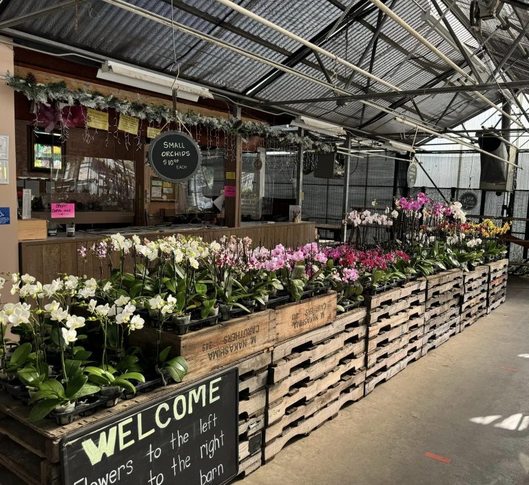 438160663 1022873752618386 4128288369420606210 n 768x705