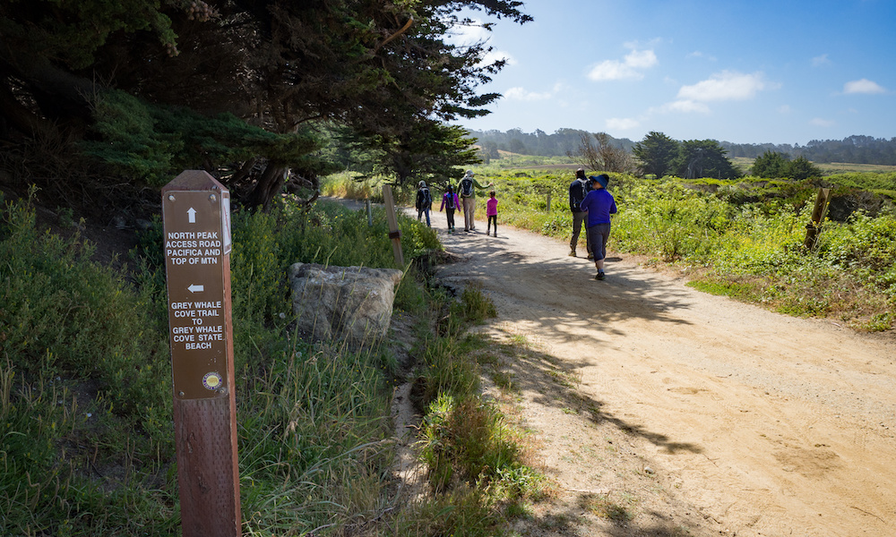 Gray Whale Cove Trail - Photo by Jennifer Jean