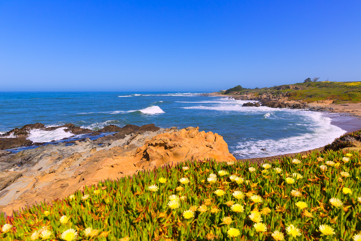 Bean Hollow State Beach