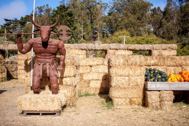 Arata27s20Photo20Credit20Garrick20Ramirez 6 1 768x511