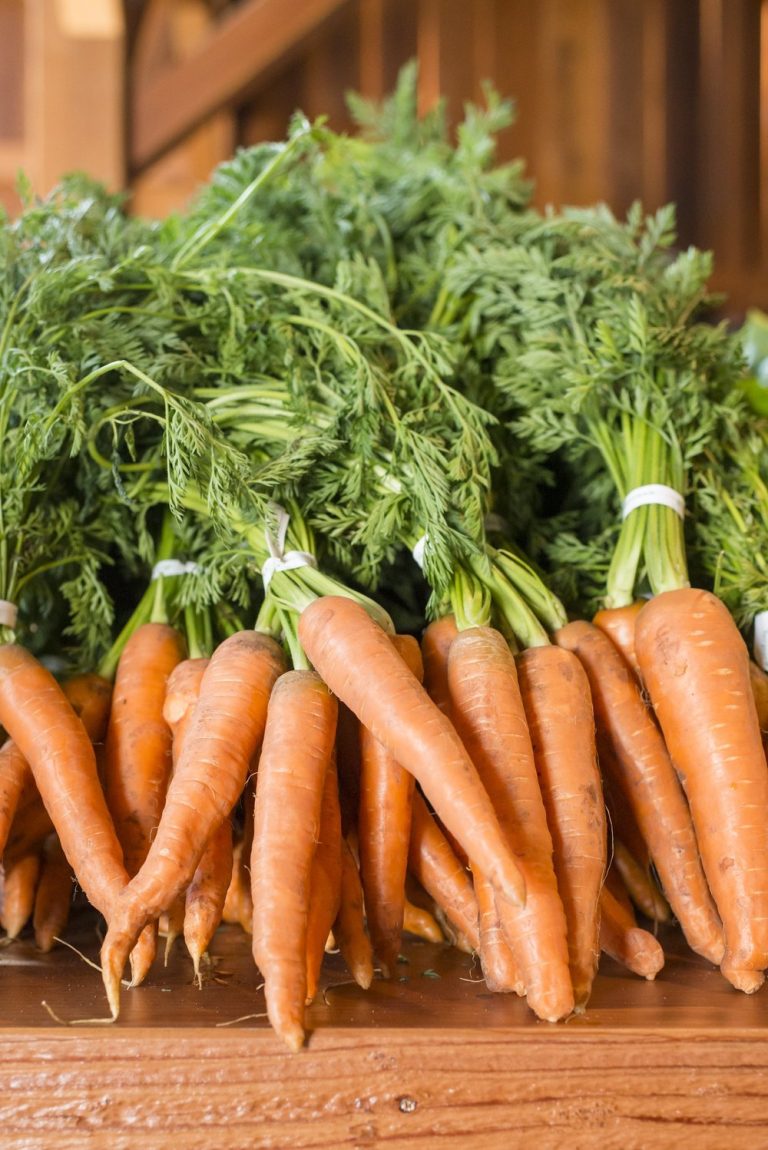 Blue House Farmstand0013 768x1150