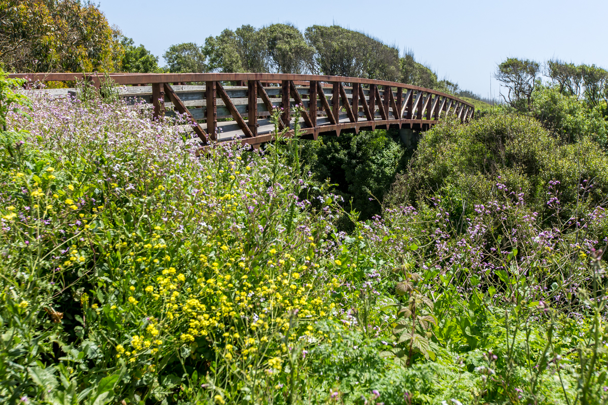 Bridge at Frenchmans Creek