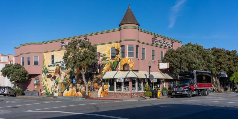 Cunhas Store e1724603019980 1 768x385