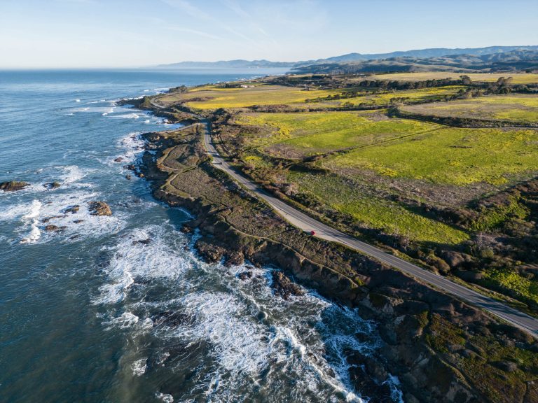DJI 0042 768x576