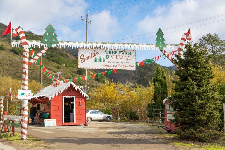 DSC03046 2 1 768x512