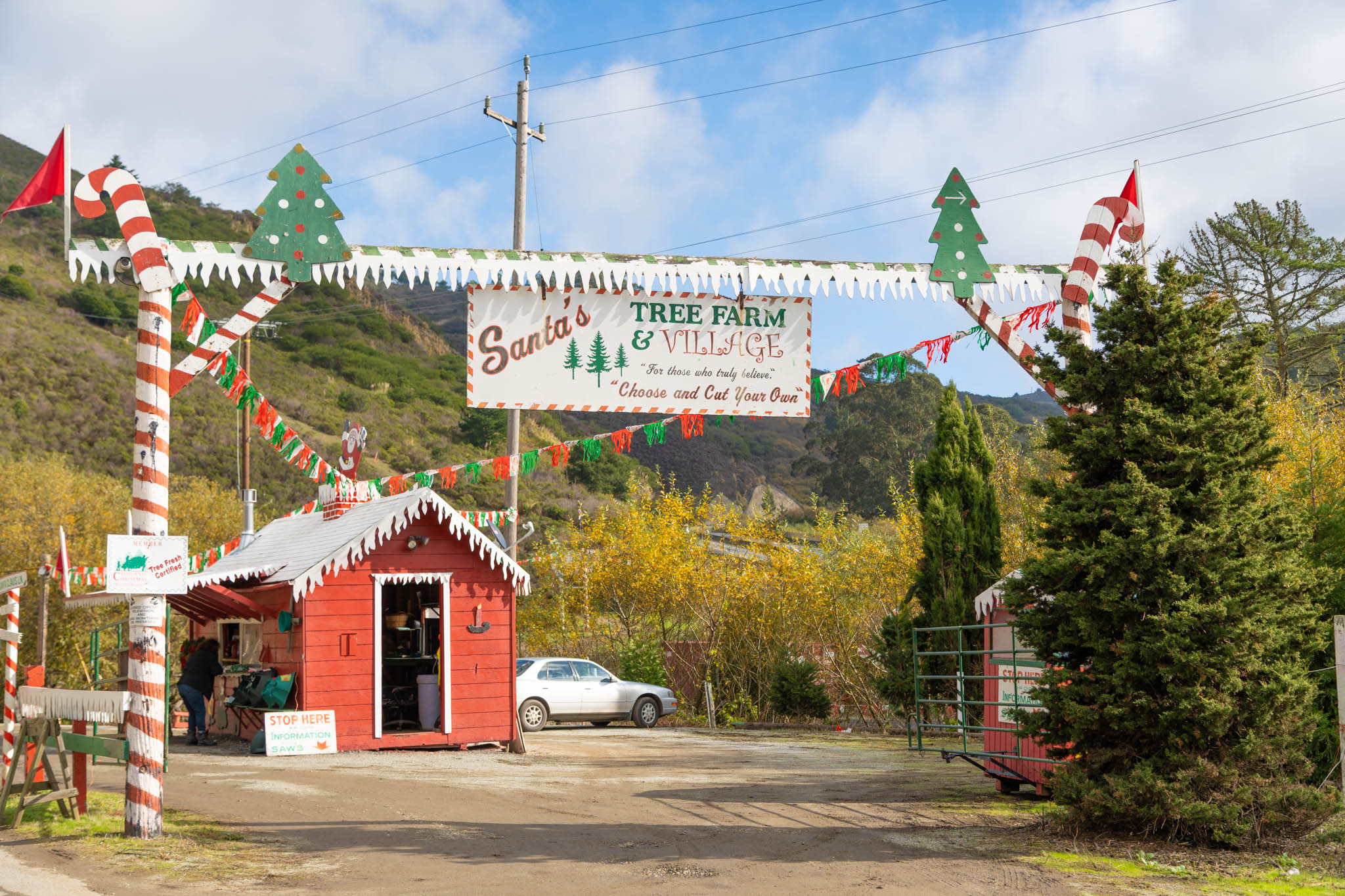 Santa's tree farm discount