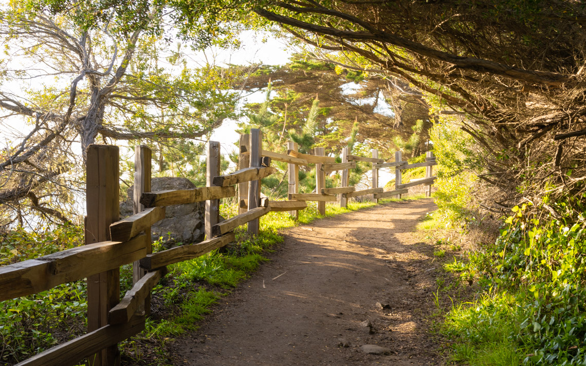 Trail through the Fitzgerald Marine Reserve in Moss Beach.