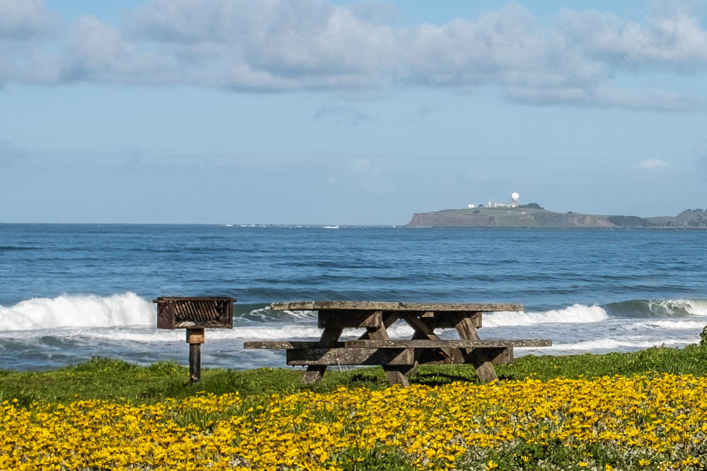 Picnicking is a popular activity at Francis Beach