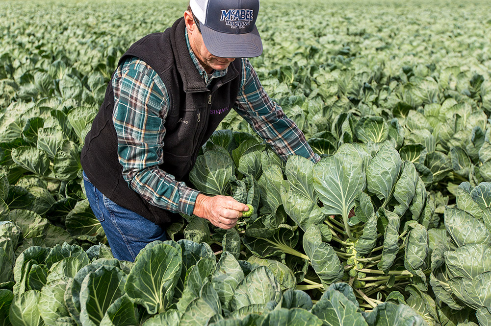 David Lea of Cabrillo Farms