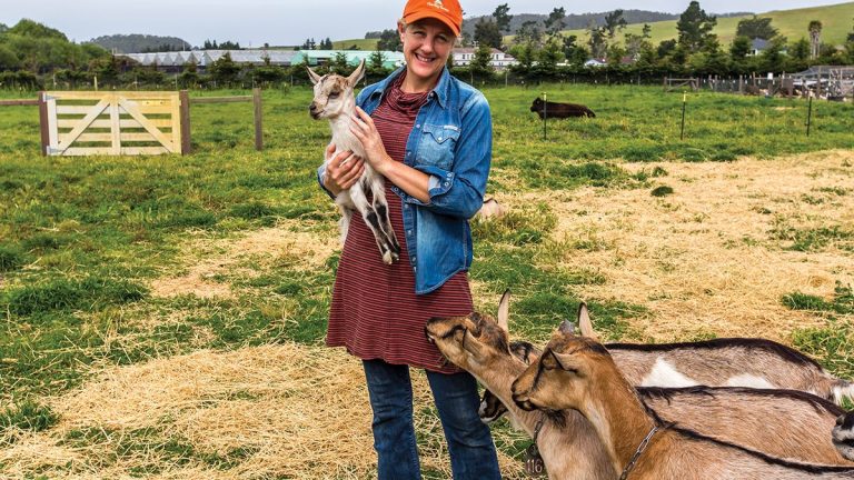 Harley20Farms20Photo20Credit20Garrick20Ramirez 1Sm 1 qcfe7rsk2i580x8p2tu6b3y379jpkfn7ystul1yc0u 768x432