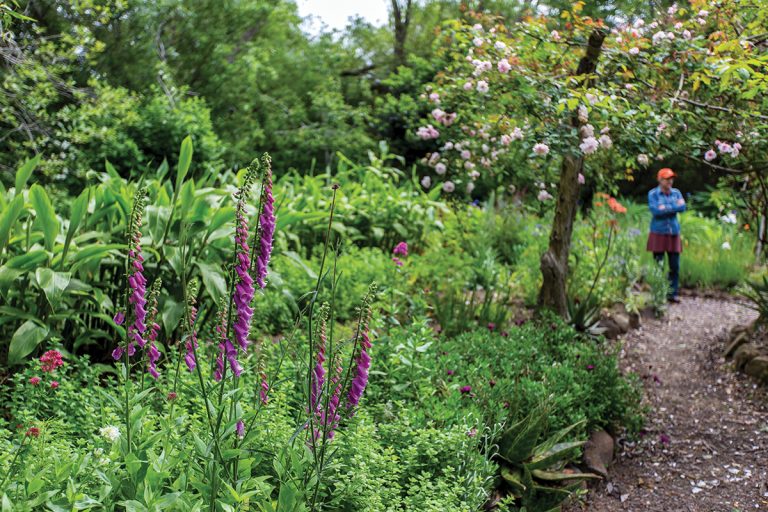 Harley20Farms20Photo20Credit20Garrick20Ramirez 4Sm 1 768x512