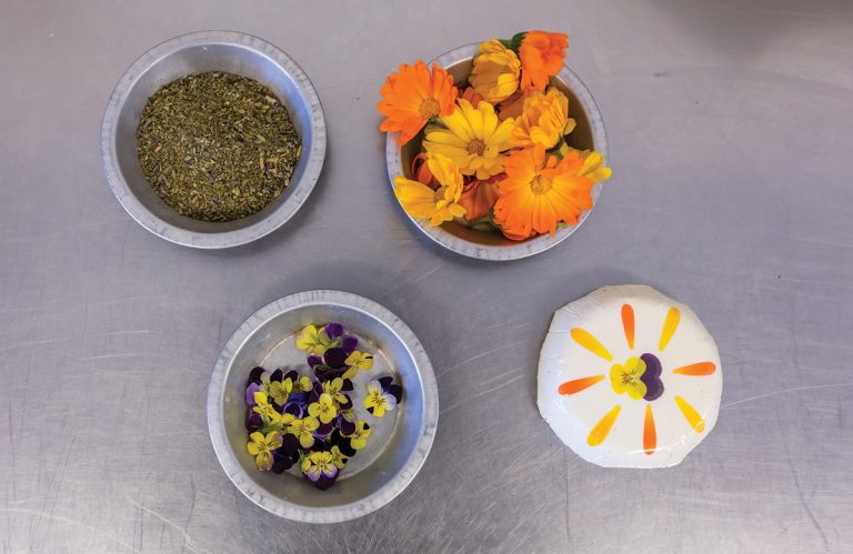 Harley20Farms20Photo20Credit20Garrick20Ramirez 5Sm 1 768x499