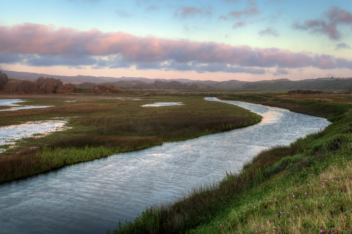 Pescadero Marsh along the Sequoia Audubon Trial - Photo by Kevin Henney