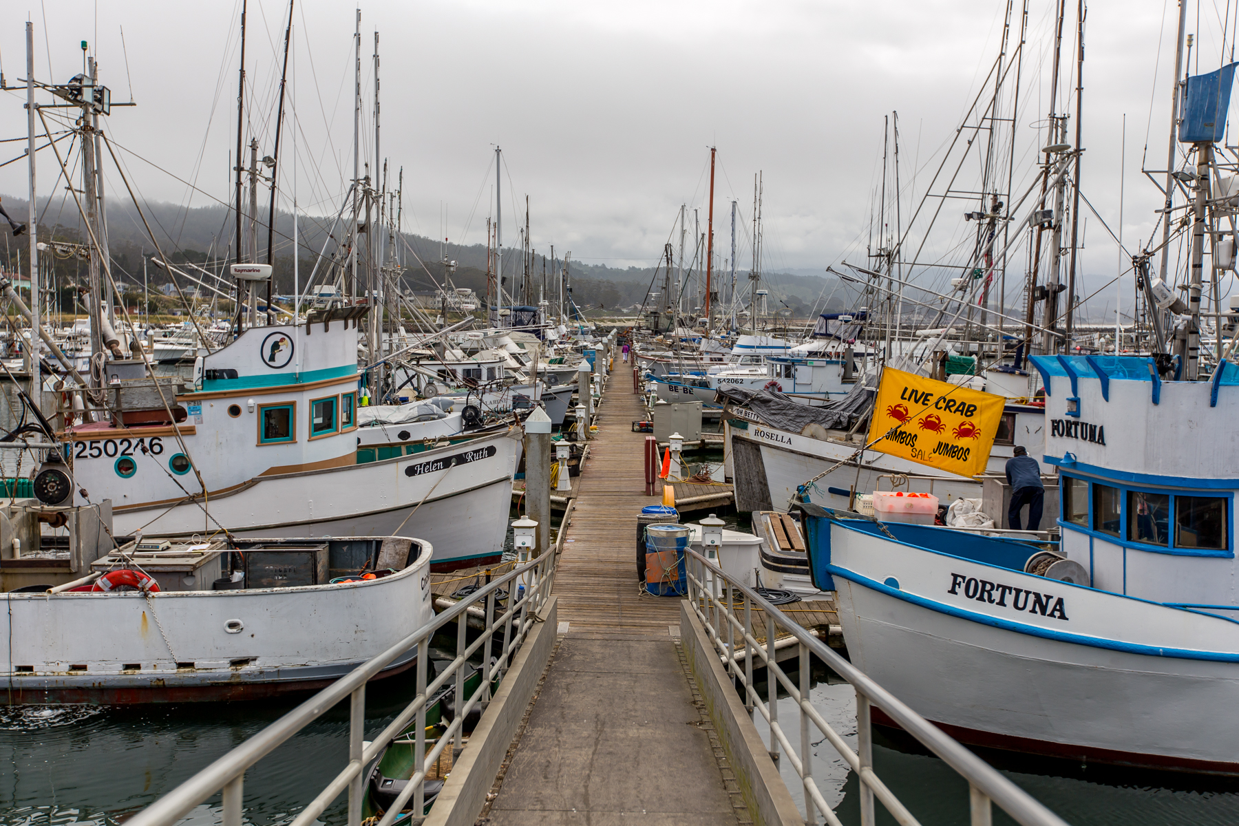 Pillar Point Harbor - photo by Garrick Ramirez