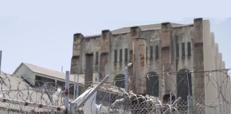 SQ GRAPHIC web 768x381