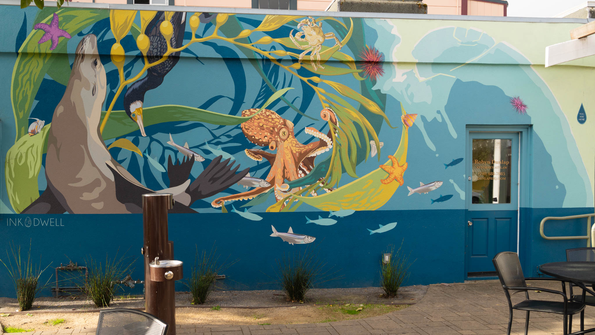 Sea life mural with a sea lion, bird, octopus, fish, and seaweed on a building wall beside a blue door.