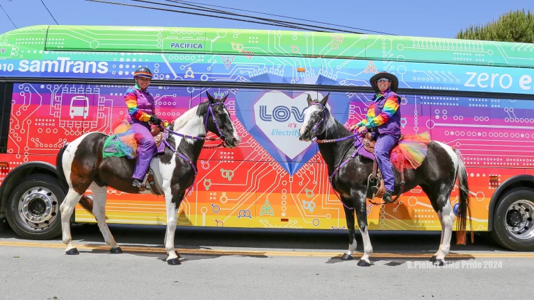 coastpride hmb pride hero 50d73749 768x432