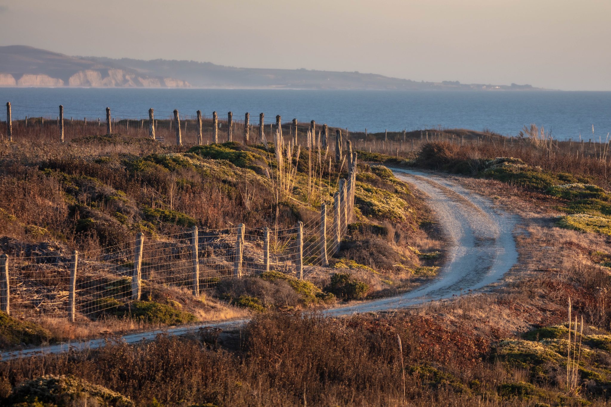 A winding dirt path runs alongside a wire fence with wooden posts through a dry, grassy landscape with patches of green shrubs. In the background, there is a calm blue sea and distant cliffs under a soft, warm light, suggesting early morning or late afternoon.