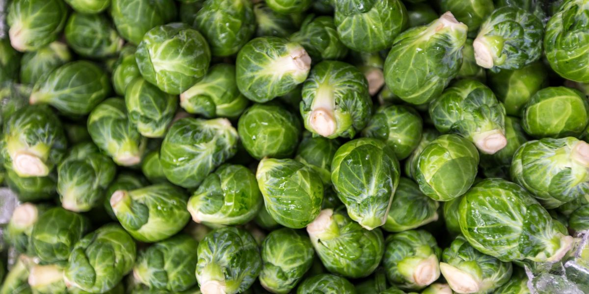 Brussels20sprouts20Cabrillo20Farms20Photo20Credit20Garrick20Ramirez-1