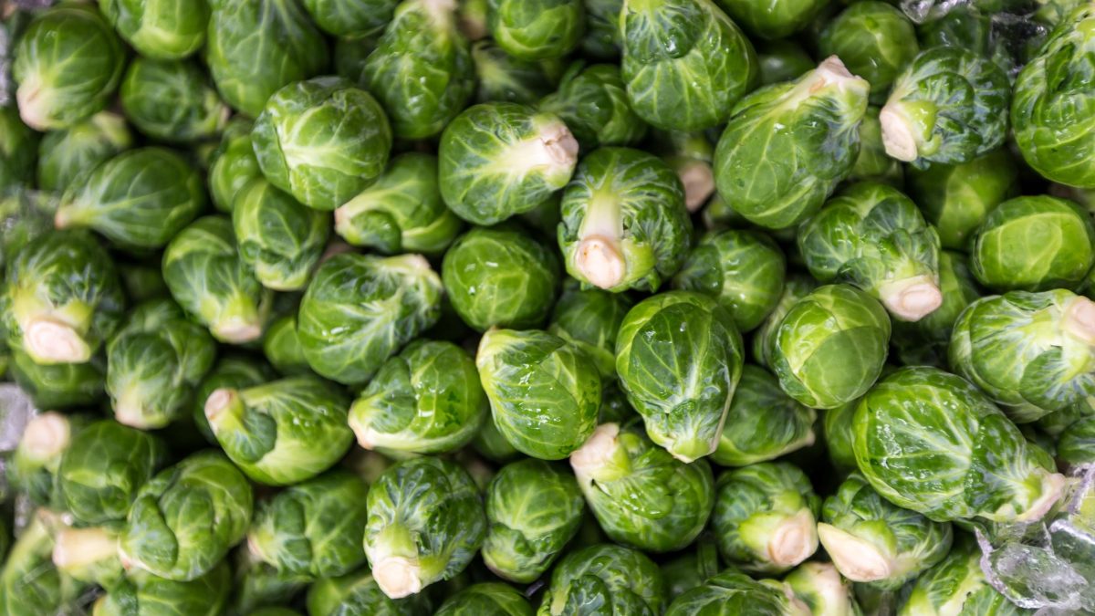 Brussels20sprouts20Cabrillo20Farms20Photo20Credit20Garrick20Ramirez-1