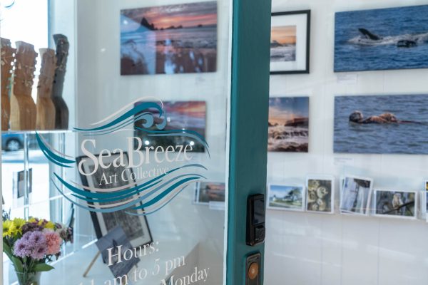 Glass door with the logo "Sea Breeze Art Collective" and business hours partially visible. Inside, there are framed photographs and artwork displayed on white walls, including images of ocean scenes and marine animals. A bouquet of flowers and wooden carved figures are also visible near the entrance.