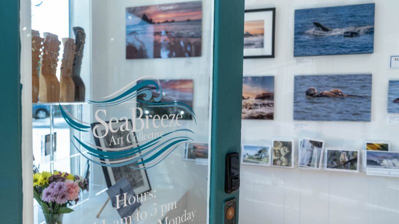 Glass door with the logo "Sea Breeze Art Collective" and business hours partially visible. Inside, there are framed photographs and artwork displayed on white walls, including images of ocean scenes and marine animals. A bouquet of flowers and wooden carved figures are also visible near the entrance.