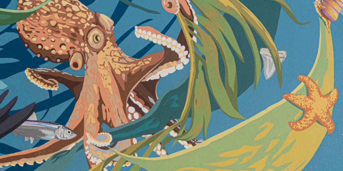 Colorful mural of an octopus with fish, seaweed, and a starfish on a blue background