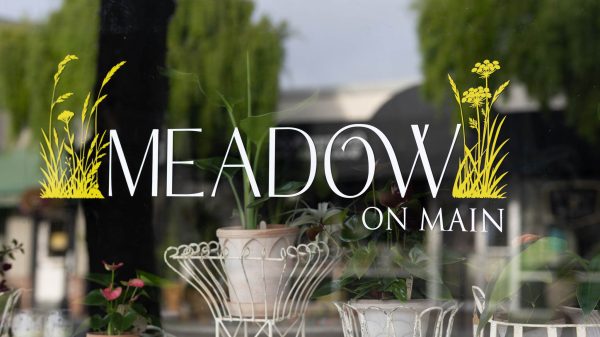 Store window with the text “MEADOW ON MAIN” and potted plants displayed behind the glass.