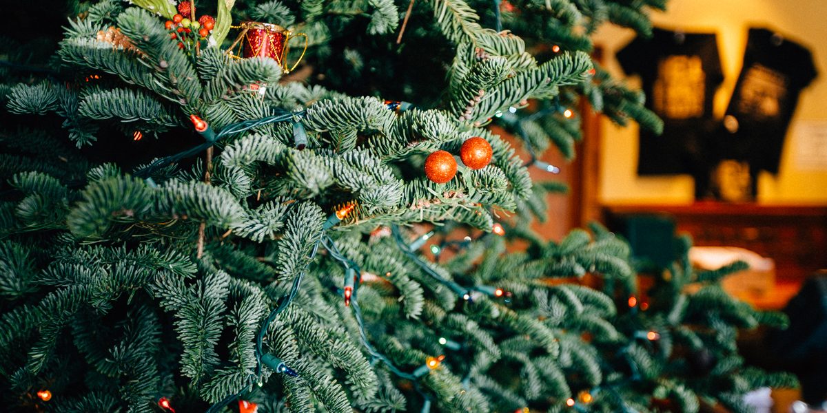 Duarte27s20Tavern20PC20Garrick20Ramirez-7