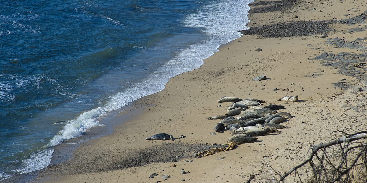 Fitzgeralds20Marine20Preserve5Am