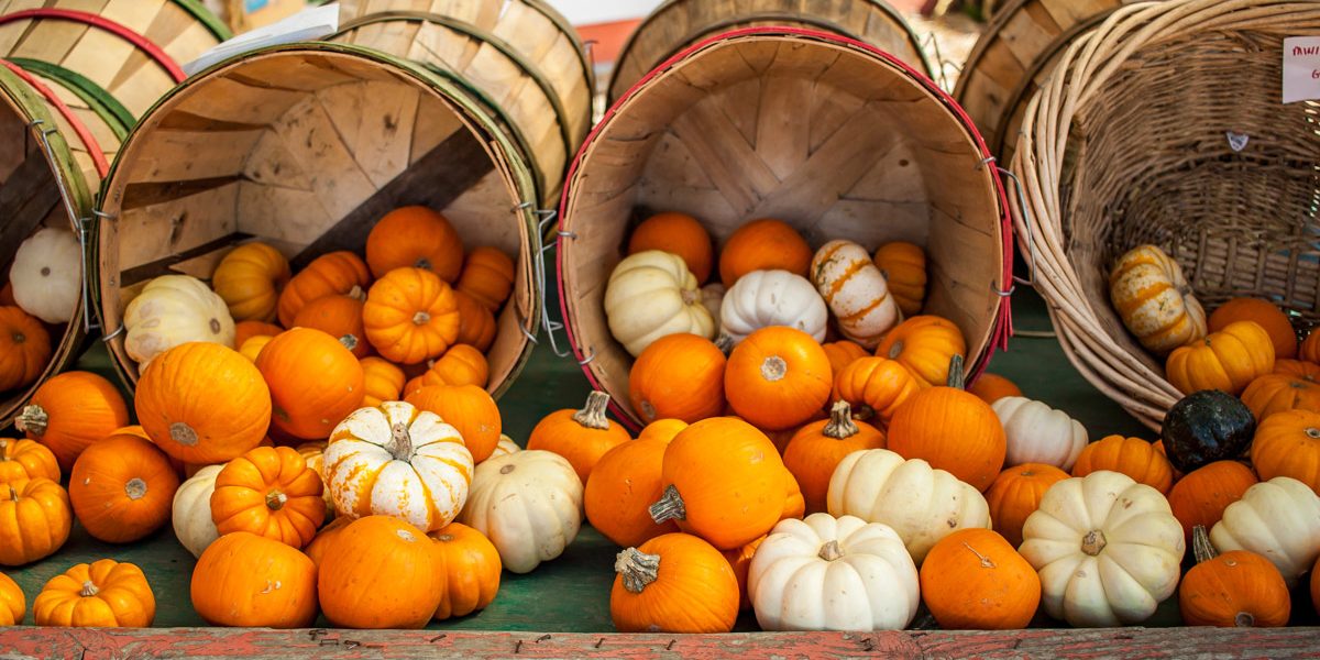 Hero20Pic20Farmer27s20Daughter20Photo20Credit20Garrick20Ramirez-1