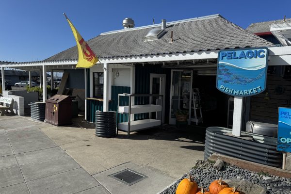 Pelagic Fish Market building with a gray shingled roof and a blue and white sign featuring fish and waves. A yellow flag with a red crab design is mounted on a white post near the entrance. Four pumpkins are placed on a bed of gray rocks in the foreground. The entrance has open double doors, and there is a recycling bin and a bench nearby. The sky is clear and blue.