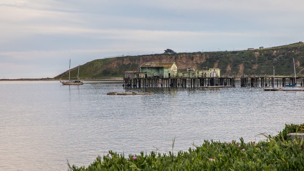 A calm coastal scene with an old wooden pier extending into the water, supporting several weathered green buildings. Two sailboats are anchored nearby, and a small floating platform is visible in the water. In the background, there is a grassy cliff with a fence along the top. The foreground features green vegetation with some small pink flowers. The sky is mostly cloudy with soft light.