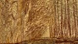 Abstract forest scene with tall trees forming a tunnel over a path, rendered in brown and gold tones.