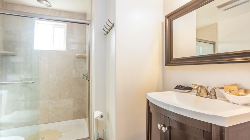 Bathroom with a glass-enclosed shower featuring beige tiles and a small window, a dark wood vanity with a white countertop and brass faucet, a large framed mirror above the sink, and a toilet paper holder with a roll and green cleaning brush next to the vanity.
