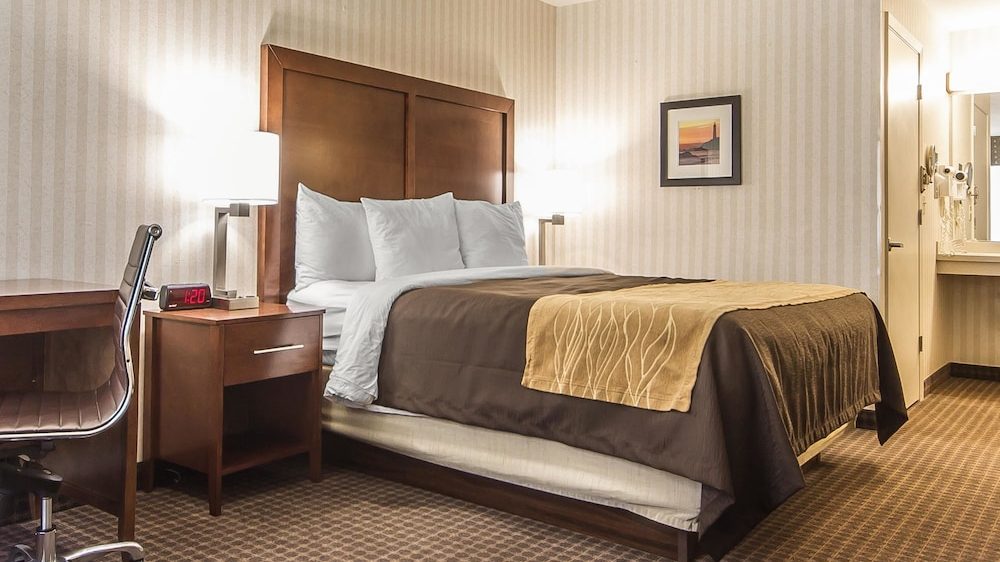 Hotel room with a neatly made bed featuring white pillows, a brown bedspread, and a beige decorative runner. The room has a wooden headboard, two bedside lamps, a wooden nightstand with a digital clock, a wooden desk, and a brown office chair. The walls have light-colored vertical striped wallpaper, and there is a framed picture above the bed. The floor is carpeted with a patterned design.