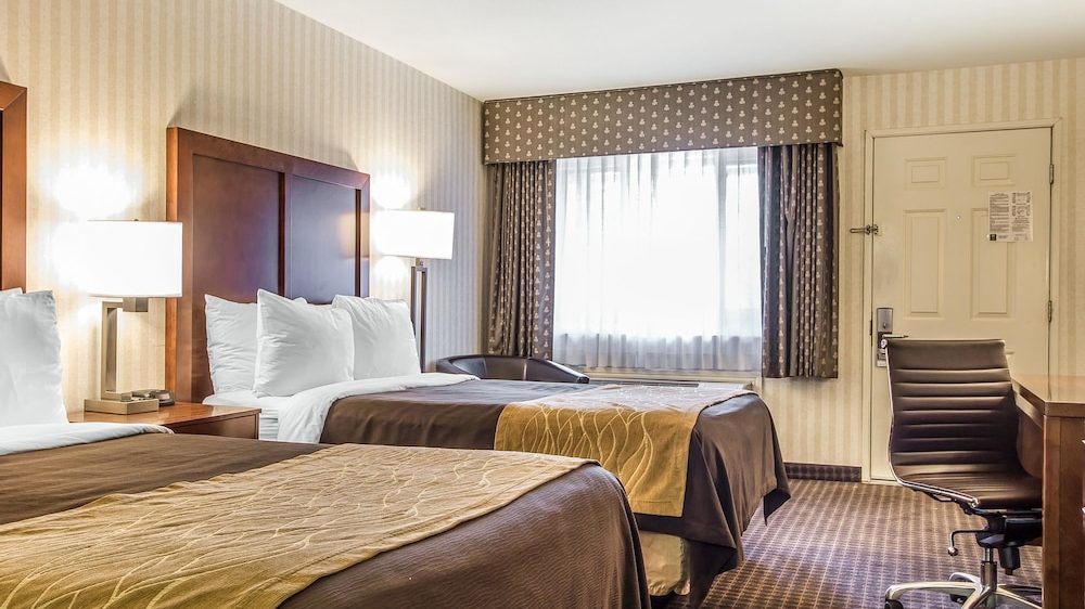 Two double beds with brown bedspreads and beige runners are in a hotel room with striped beige wallpaper. Each bed has white pillows and a wooden headboard. Between the beds is a wooden nightstand with a lamp. A window with sheer white curtains and patterned brown drapes is on the far wall. To the right, there is a beige door and a black office chair in front of a wooden desk. The floor is carpeted in a brown checkered pattern.