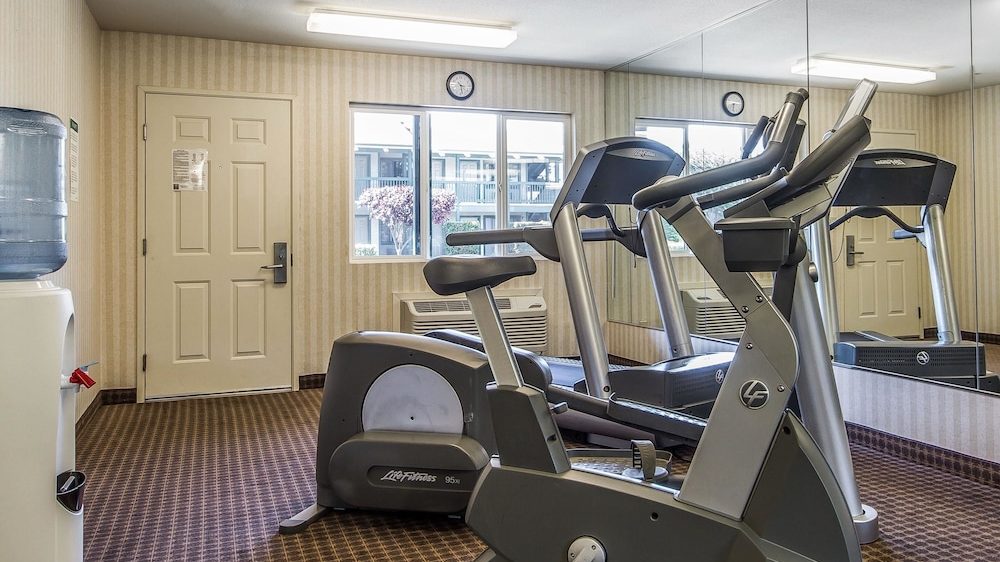 Exercise room with a stationary bike and a treadmill, beige striped wallpaper, brown patterned carpet, a water cooler on the left, a window with a view of an outdoor area, and a large wall mirror reflecting the equipment and part of the room.