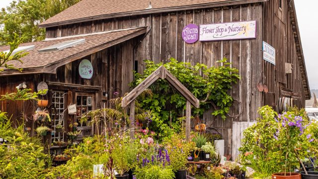 Rustic wooden flower shop and nursery with various potted plants and flowers displayed outside, surrounded by greenery and a wooden arch structure in front. Signs on the building read "Alena Jean Flower Shop & Nursery," "Flowers & Plants," and "Floral Touch.