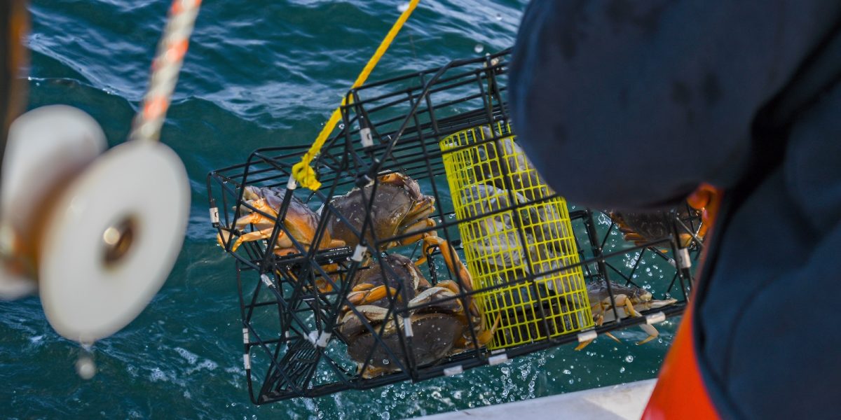Crab fishing for Dungeness crab off the coast of Half Moon Bay Ca.