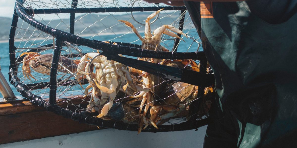 Crab pot with fisherman on the ocean.