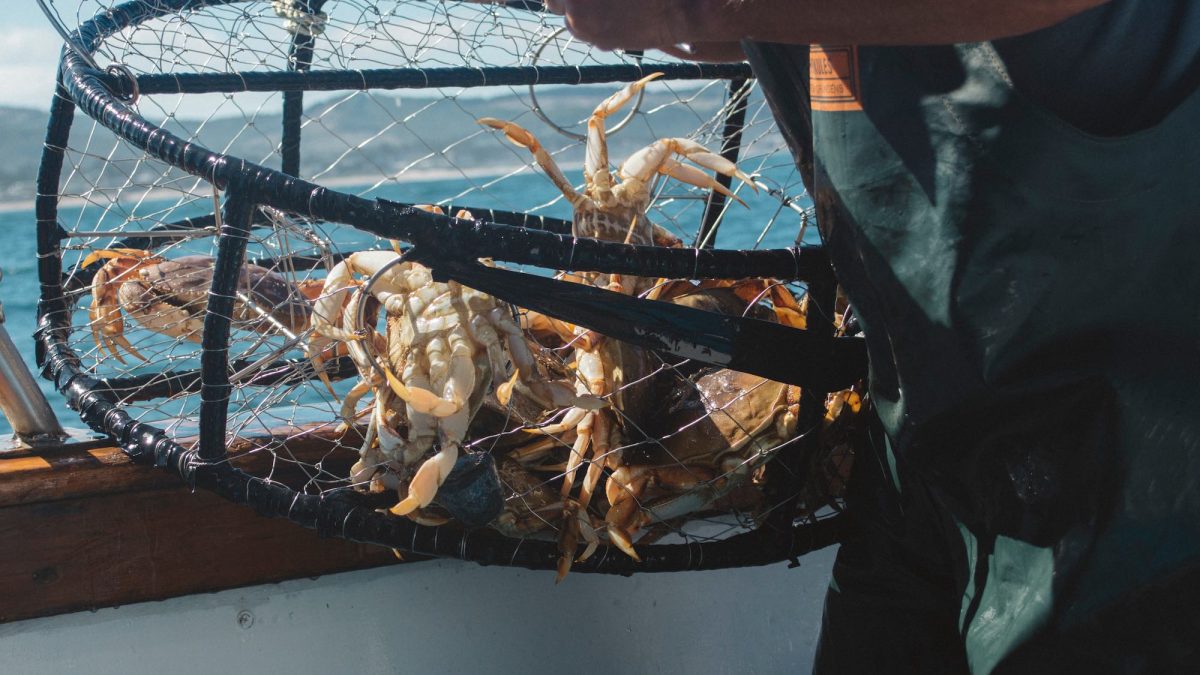 Crab pot with fisherman on the ocean.