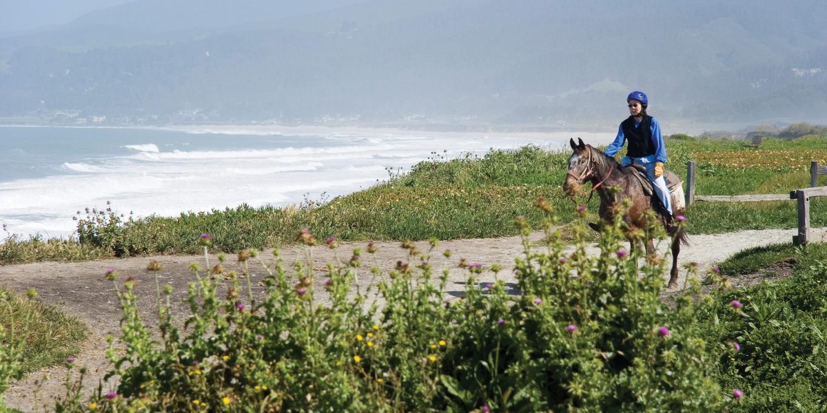 horseback-riding-beach