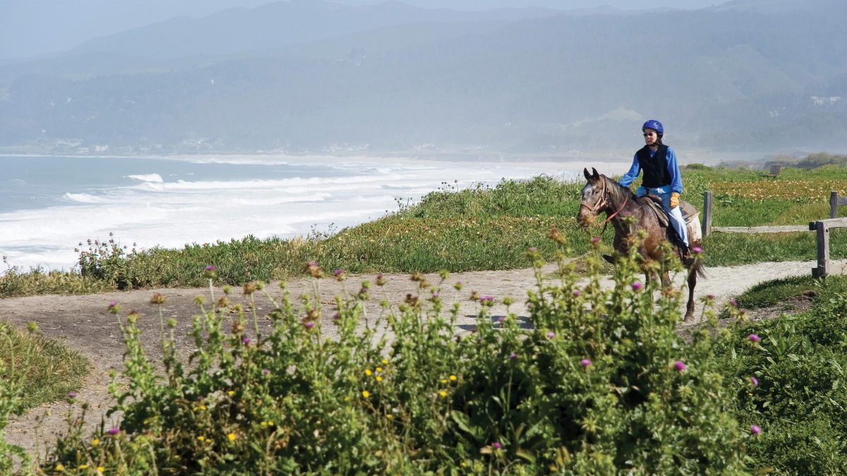 horseback-riding-beach